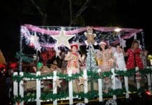 Gallery: Pageant of Lights 2025